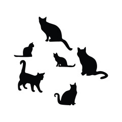 Cat silhouette 