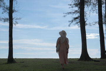 A woman walks alone on a tropical beach filled with tall pine trees