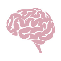 Pink human brain illustration representing nervous tissue, cognition, intelligence, sensory processing, motor coordination, and central organ function in the human nervous system.

