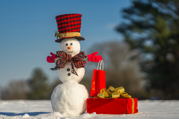 Snowman on winter background. Playful snowman outdoors. Winter holiday. Cute snowman in snow....