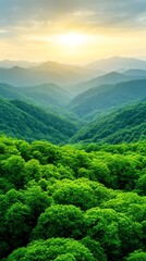 Obraz premium A breathtaking view of lush green mountains under a golden sunrise.