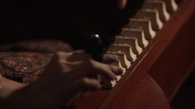 Close-up of a Thai woman wearing Thai dress and playing a Thai stringed instrument.