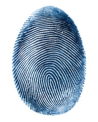 blue fingerprint isolated on white background