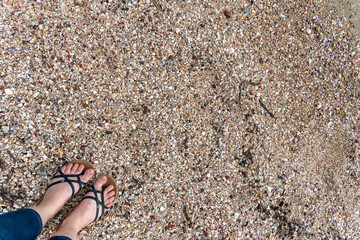 Footprints in the sand create a serene moment by the beach during a sunny day