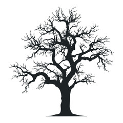 Fototapeta premium Tree silhouette 