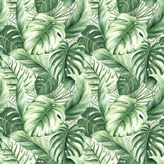 Watercolor tropical palm leaves illustration for summer rainforest designs. Seamless pattern. Hand drawn green monstera and jungle plants in realistic botanical style. Lush foliage exotic plants.