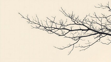 Subtle Minimalist Branch Design in Natural Style