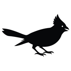 Black Silhouette Of A Cardinal Bird Standing With Detailed Feathers.