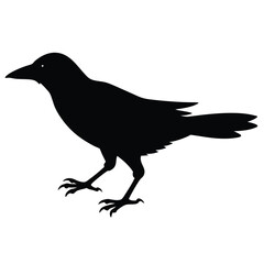 Silhouette Illustration Of A Detailed Crow Vector Design For Various Creative Projects.