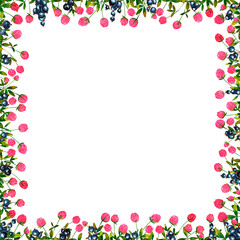 Square frame with clover and black currant, dragonflies, butterflies, bumblebees, bees. Hand drawn watercolor flowers and berries. Design for paper, background, menu, poster, textile, wallpaper