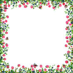 Set of square frames made of watercolor clover flowers and blueberries. Clip art, design element.