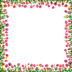 Set of square frames of watercolor wild flowers, beans, bumblebees, dragonflies. Clip art, design element.