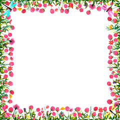 Set of square frames of watercolor flowers of clover and lingonberry, butterflies, bumblebees, dragonflies. Clip art, design element.