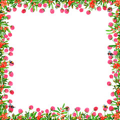 Fototapeta premium Watercolor wreath on white background. Summer round frame with clover and sea buckthorn. Perfect for postcard, poster, invitations, wedding, birthday.