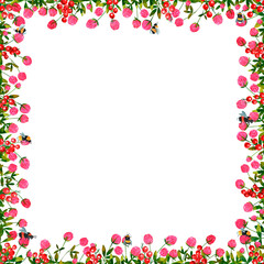 Square frame with clover, dragonfly, red currant, bumblebees and butterflies. Hand drawn watercolor berries. Design for paper, background, menu, poster, textile, wallpaper, business cards.