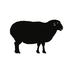 A black and white vector silhouette of a Dumba sheep in profile, highlighting its thick tail and sturdy frame on a white background