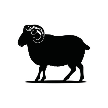 A black and white vector silhouette of a Dumba sheep with its distinctive fat tail and rounded body, standing calmly on a white background