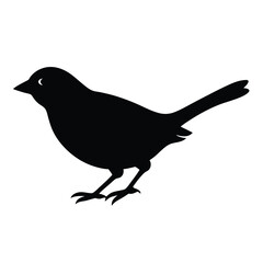 Black Bird Silhouette Vector Illustration On White Background Isolated Image.