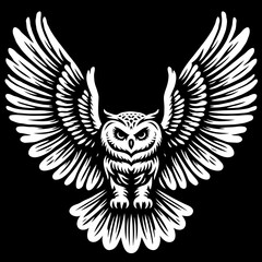 Obraz premium Flying owl with outstretched wings against a black background 
