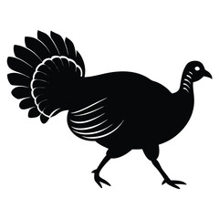 Silhouette Illustration Of A Turkey Strutting On White Background For Thanksgiving.