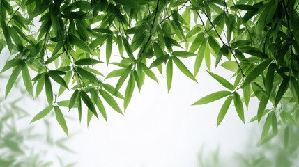 Naklejka premium Lush Green Bamboo Leaves Hanging Down Against a Bright Background a Perfect Natural Frame for Your Design