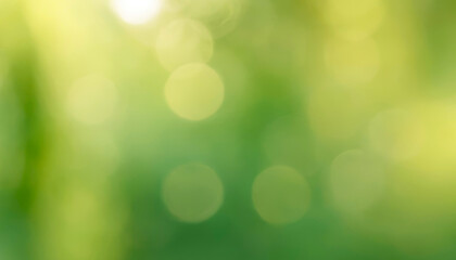 Obraz premium Soft, light-filled green bokeh. Premium background photo with soft bokeh, Background for banner, poster and website design.