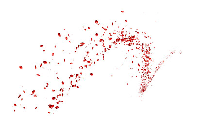 ビッグバンのように大量のスピネルが誕生！