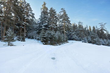  winter landscape with snow and forest, Yundola region in Bulgaria