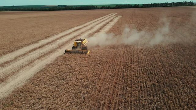 Frontal aerial shot of soybean harvest, with the harvester raising dust while threshing soybeans 2