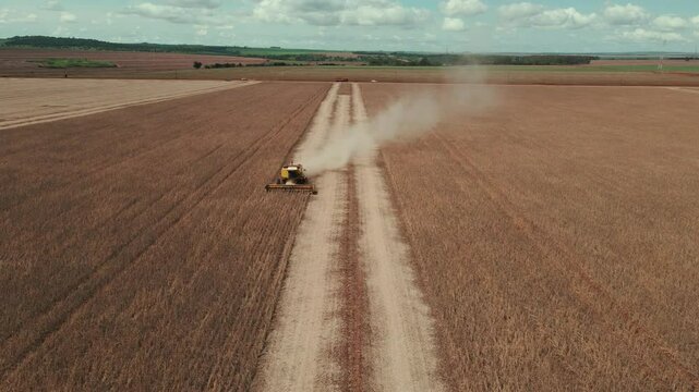 Aerial shot of a harvester threshing soybeans in the farmer's field.