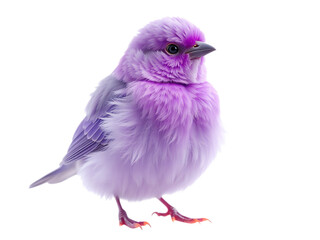 Ethereal Allure: Lavender Avian Sculpture