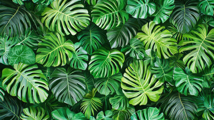 Summer pattern background with Lush green tropical leaves create vibrant summer pattern
