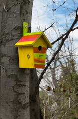 colorful, wooden birdhouse close-up