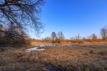 A field with a body of water in the foreground and trees in the background