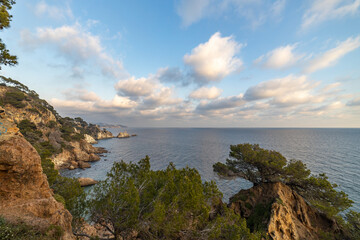 A beautiful view of the ocean with a few trees in the background