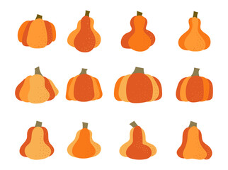 Set of Hand Drawn Doodle Pumpkin Icon Clip Art. Pumpkin Pie, Autumn, Patch, Seeds, Halloween, and Fall. Pumpkin Outline and Background in Vector