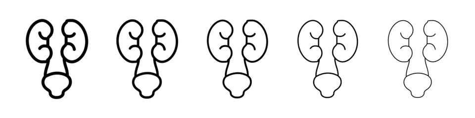 Urology icons vectors set in different stroke lines