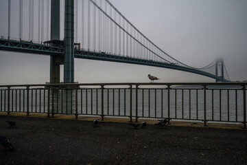 Foggy Bridge