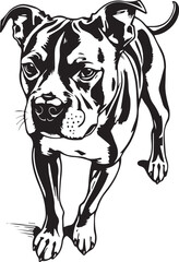 Staffordshire Bull Terrier. Hand drawn vector illustration	