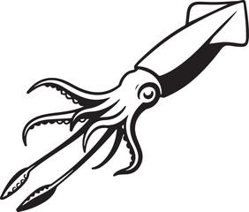vector illustration of a squid 