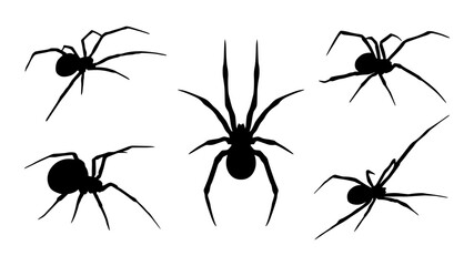Set of black spider silhouettes in various poses. Ideal for Halloween designs, horror themes, and insect illustrations.