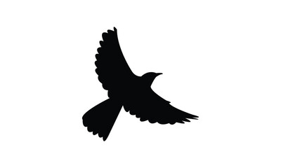 African pied wagtail bird Silhouette Design  And Vector Illustration. 