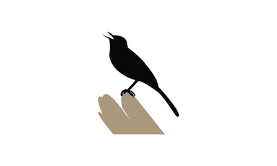 African pied wagtail bird Silhouette Design  And Vector Illustration. 