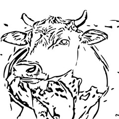 black and white cow vector illustration 