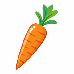 carrot vector illustration