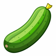 green zucchini isolated on white background