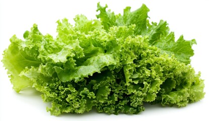 Obraz premium Fresh and Crisp Green Lettuce Variety Isolated on White Background