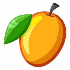 vector illustration of orange fruit