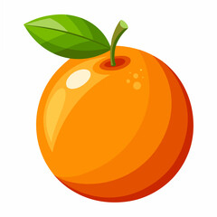 vector illustration of an orange