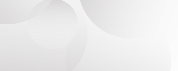 White geometric abstract background overlap layer on bright space with lines effect decoration. Modern graphic design element circles style concept for banner. Eps10